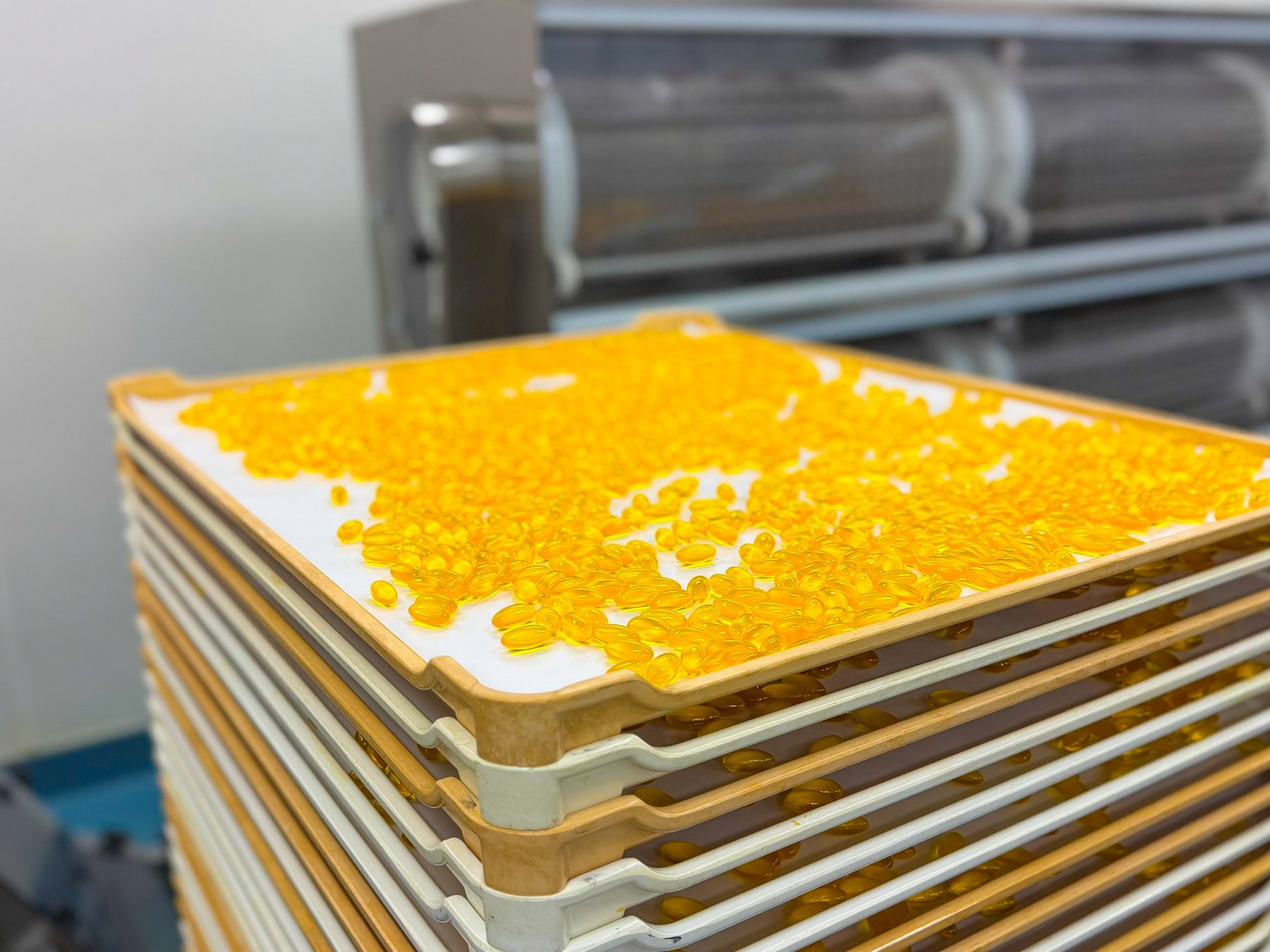 Softgel capsules on drying trays at the tunnel